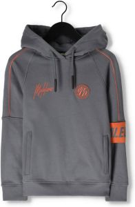 lions hoodie met logo grijs oranje