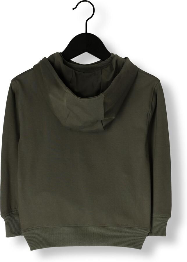MAYORAL Jongens Truien & Vesten Hooded Pullover Groen