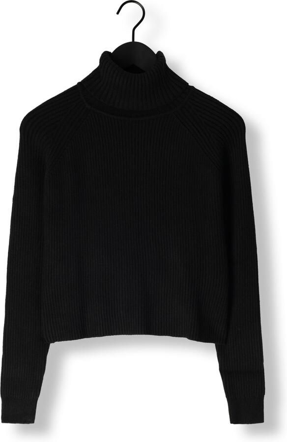 MINUS Dames Truien & Vesten Ava Knit Turtleneck Zwart - Foto 3