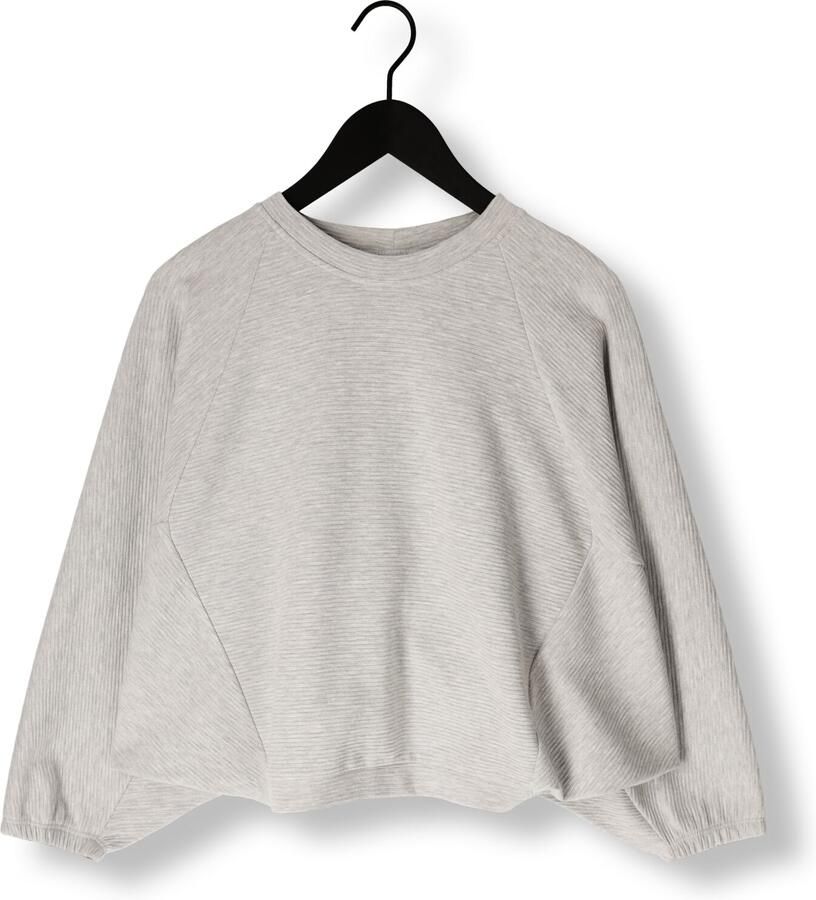 MINUS Dames Truien & Vesten Kolini Sweat Grijs - Foto 1