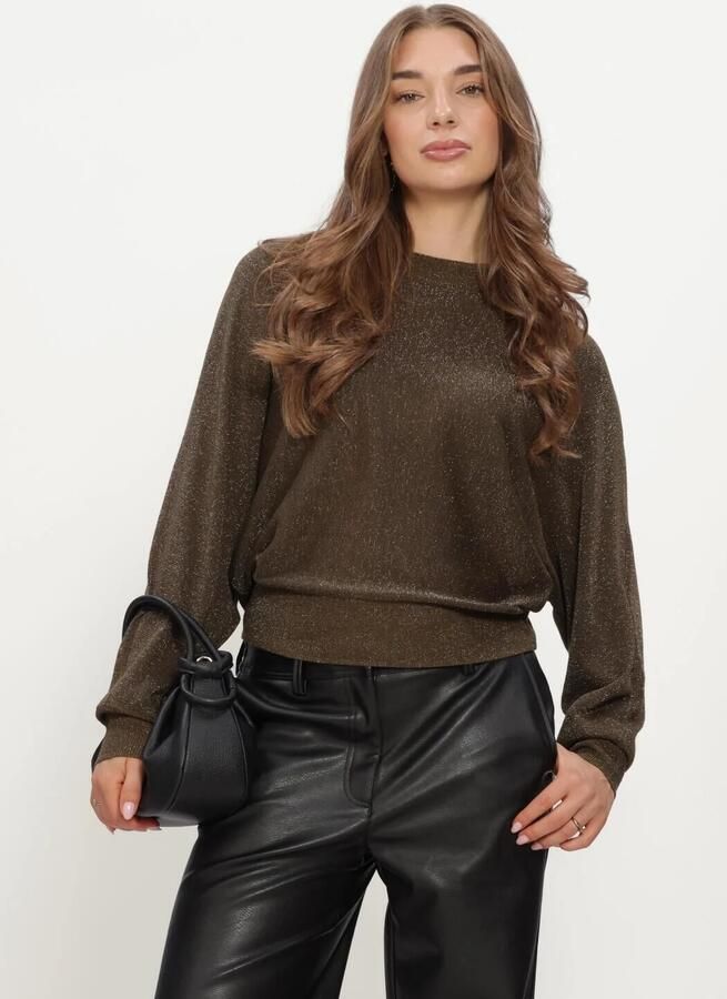 MINUS Dames Truien & Vesten Msdana Metallic Bat Sleeve Pullover Bruin