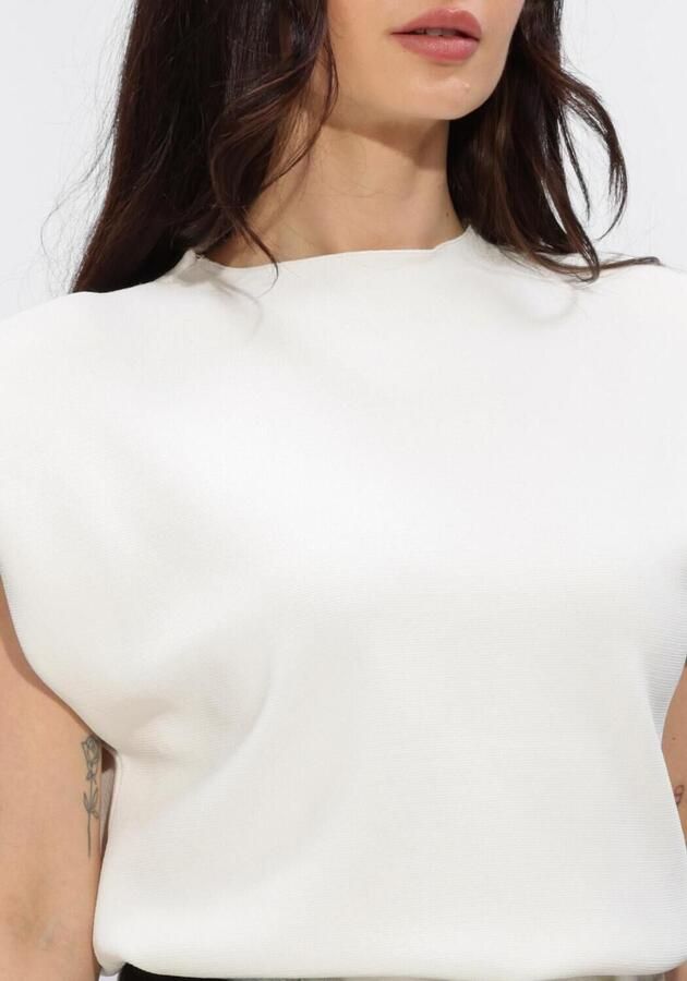MINUS Dames Truien & Vesten Msfauna Knit Vest Creme - Foto 3