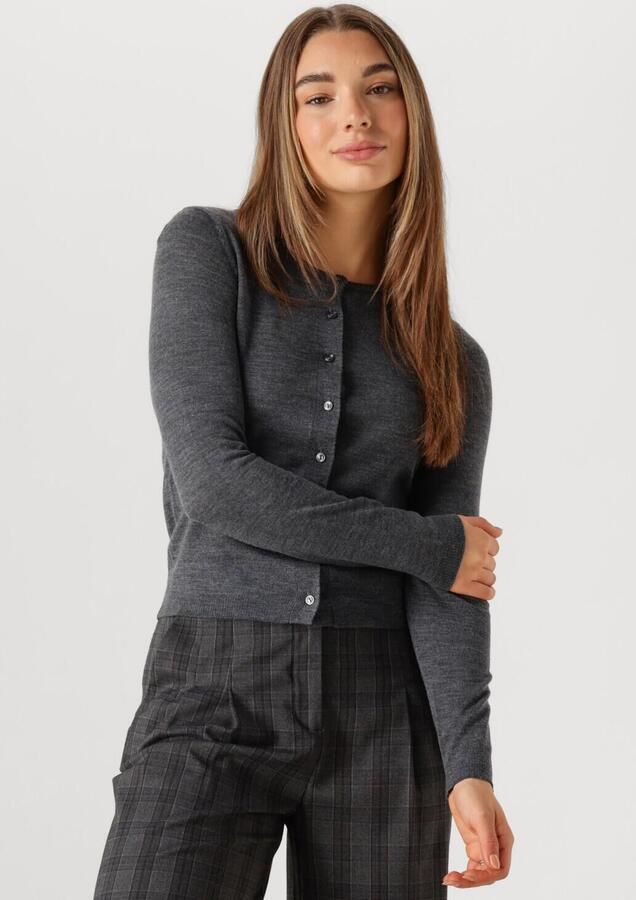 MODSTRÖM Modström Dames Truien & Vesten Hirokimd Short Cardigan Grijs - Foto 4