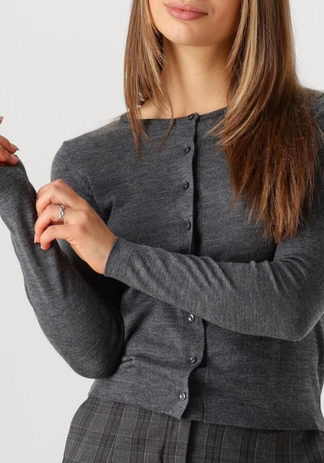 MODSTRÖM Modström Dames Truien & Vesten Hirokimd Short Cardigan Grijs - Foto 2