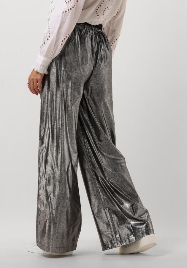 Moliin Elegante Zwarte Broek Urenna Gray Dames