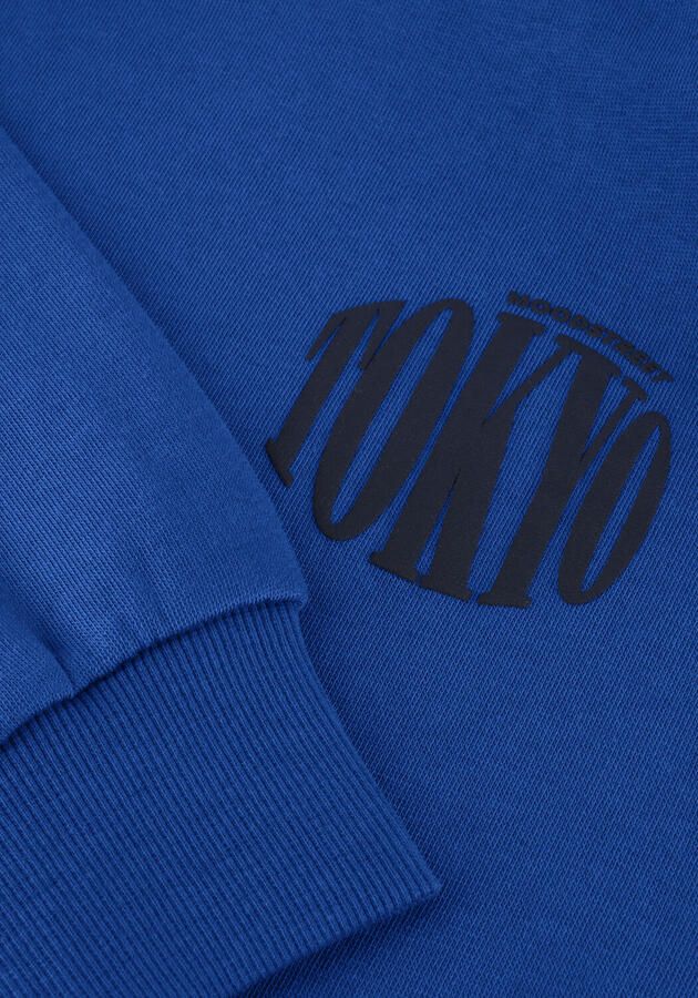 MOODSTREET Jongens Truien & Vesten Simon Mount Fuji Sweater Blauw