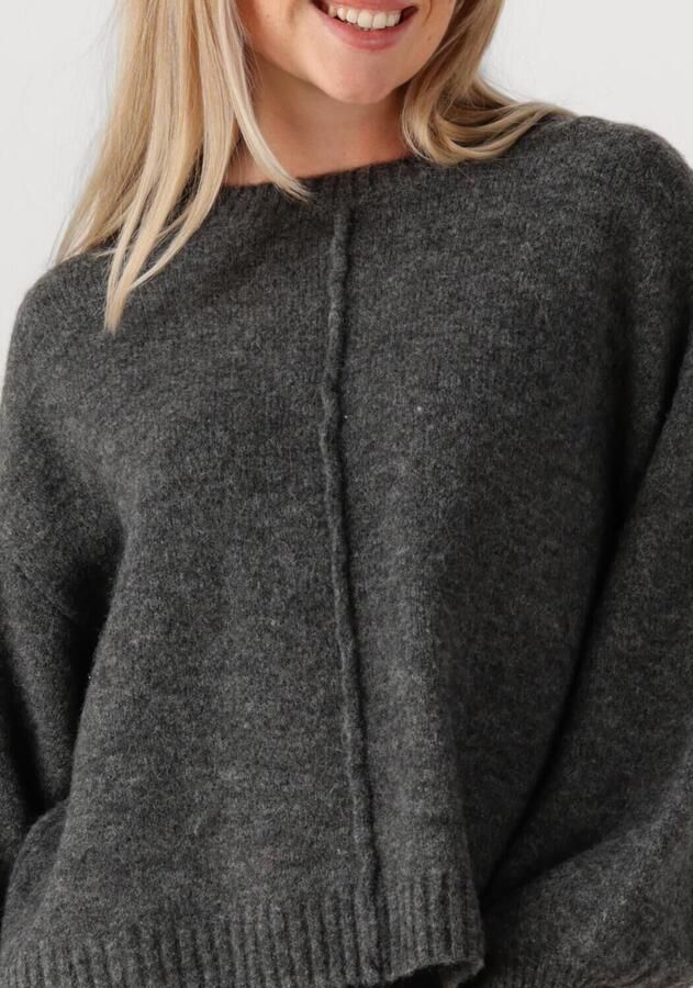 MOSCOW Dames Truien & Vesten 32-09 Proun Donkergrijs - Foto 2