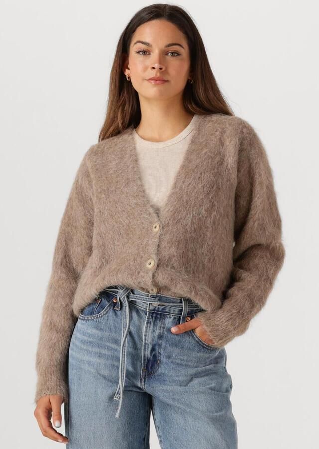 MOSCOW Dames Truien & Vesten 38-10 Fleur Bruin - Foto 4