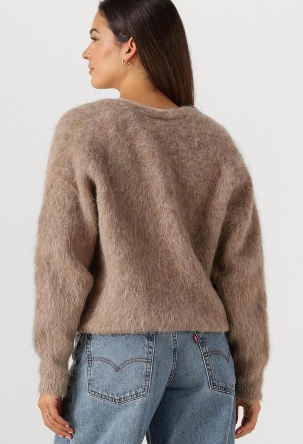 MOSCOW Dames Truien & Vesten 38-10 Fleur Bruin - Foto 3