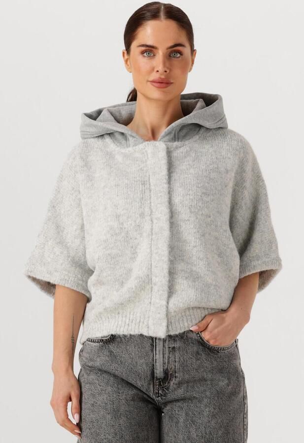 MOSCOW Dames Truien & Vesten 40-10 Timmy 2 Lichtgrijs - Foto 4