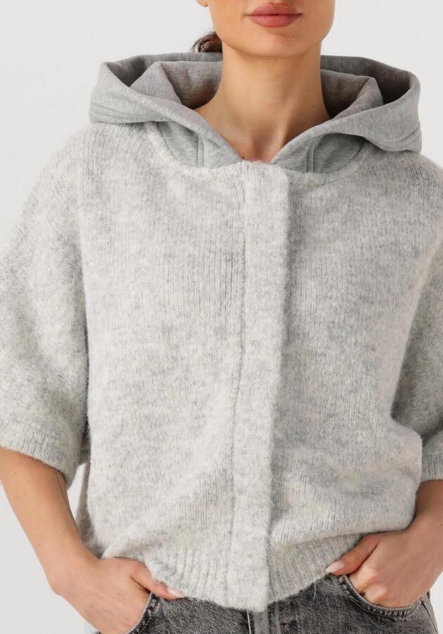 MOSCOW Dames Truien & Vesten 40-10 Timmy 2 Lichtgrijs - Foto 2