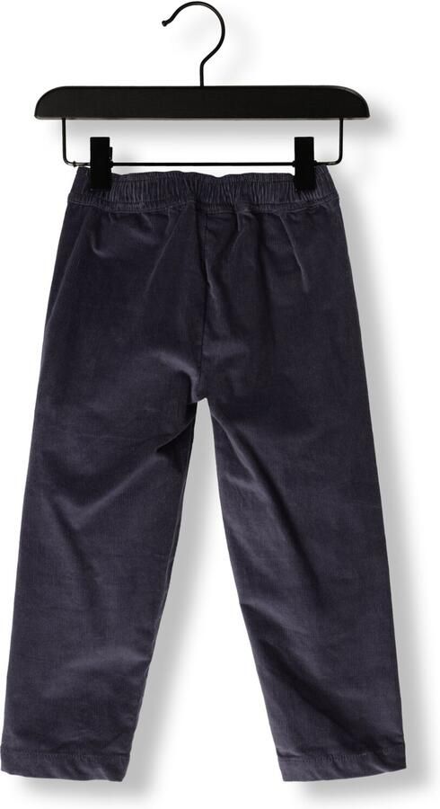 MR. LOUTRE Jongens Broeken William Donkerblauw - Foto 2