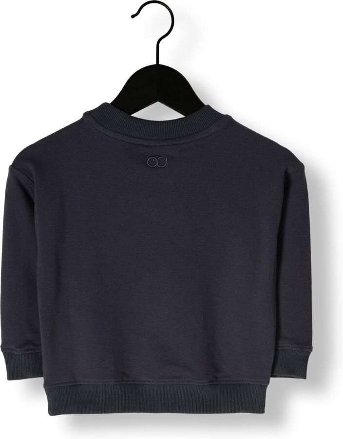 MR. LOUTRE Jongens Truien & Vesten Elias Donkerblauw