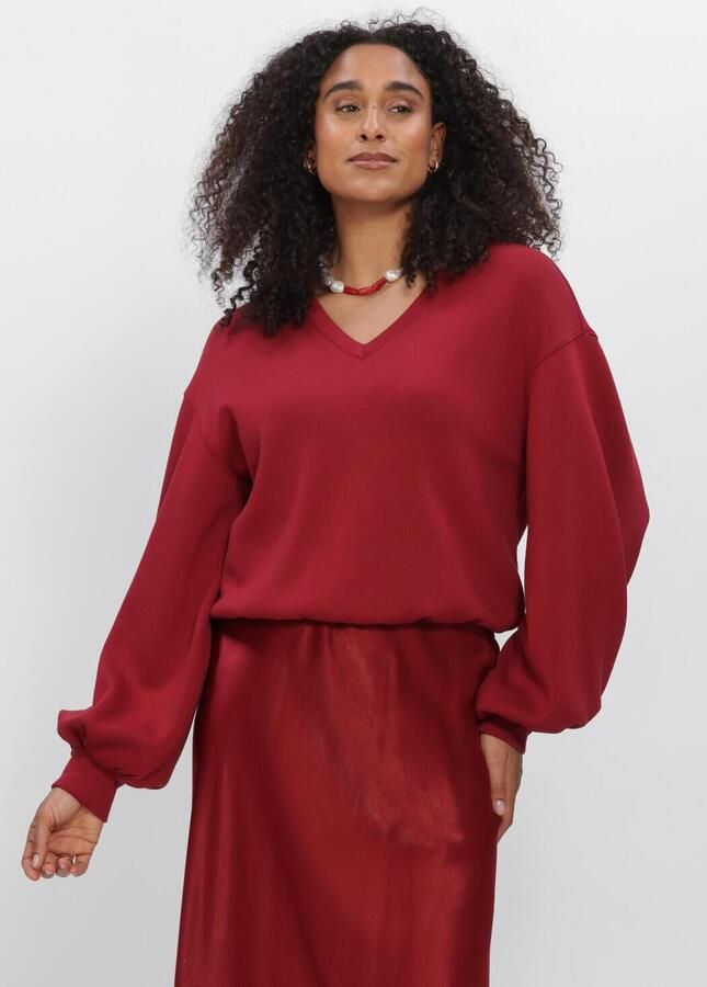 MSCH COPENHAGEN Dames Truien & Vesten Mschbrionna Ima Q V Sweatshirt Rood