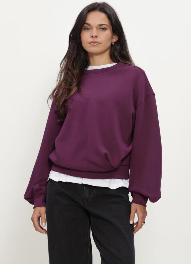 MSCH COPENHAGEN Dames Truien & Vesten Mschbrooke Ima Q Sweatshirt Plum
