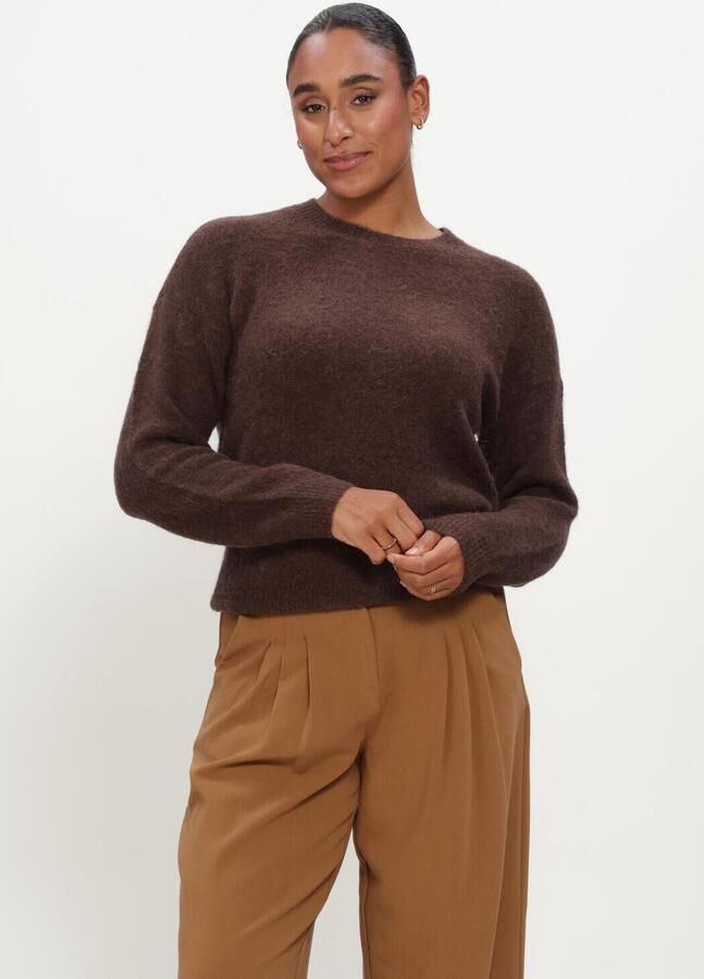 MSCH COPENHAGEN Dames Truien & Vesten Mschfestina Hope Pullover Bruin