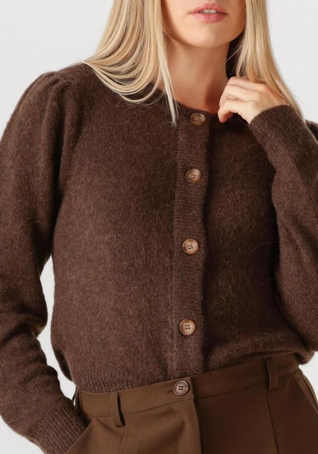 MSCH COPENHAGEN Dames Truien & Vesten Mschmiabelle Hope Cardigan Bruin