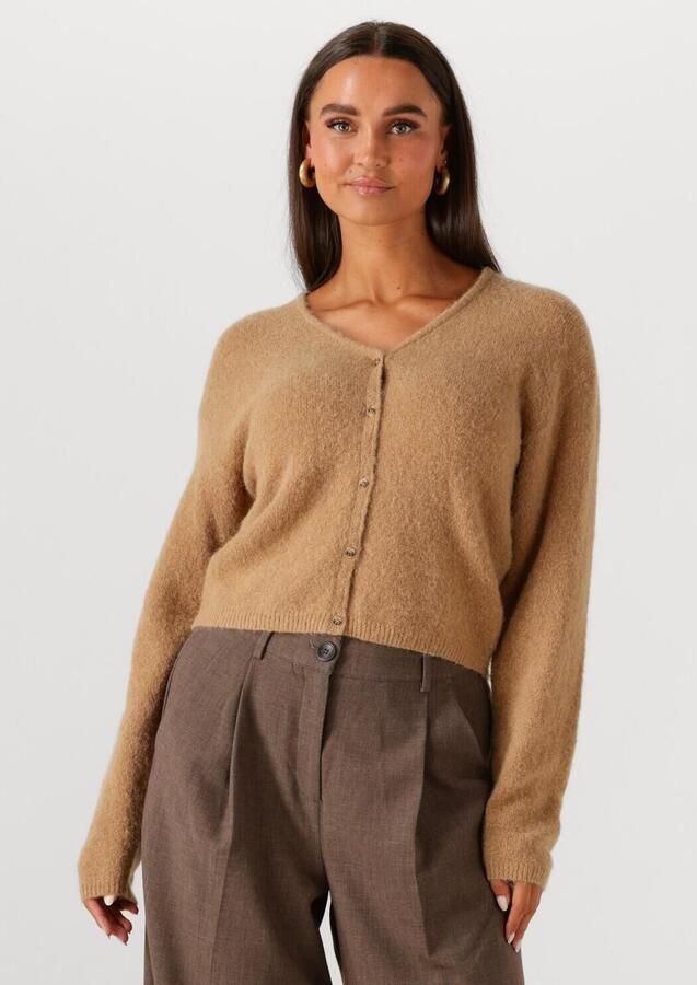 MSCH COPENHAGEN Dames Truien & Vesten Mschmilania Hope Cardigan Camel - Foto 4