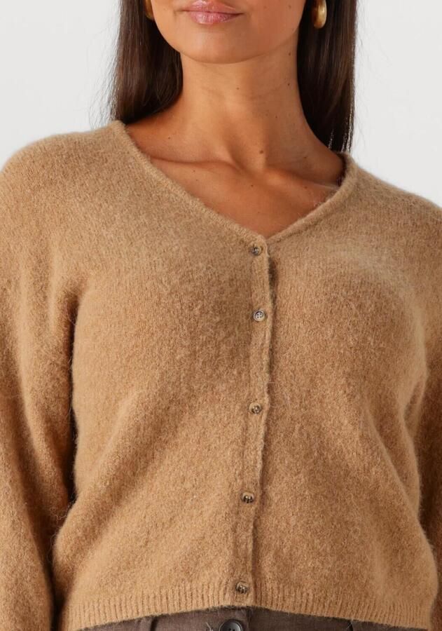 MSCH COPENHAGEN Dames Truien & Vesten Mschmilania Hope Cardigan Camel