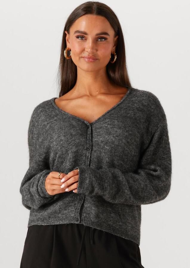 MSCH COPENHAGEN Dames Truien & Vesten Mschmilania Hope Cardigan Grijs - Foto 4