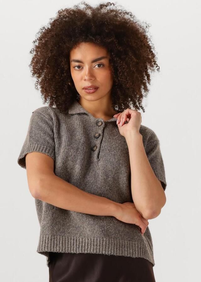 MY ESSENTIAL WARDROBE Dames Truien & Vesten Palomamw Knit Polo Ss Grijs - Foto 4