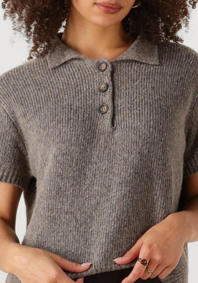 MY ESSENTIAL WARDROBE Dames Truien & Vesten Palomamw Knit Polo Ss Grijs - Foto 3