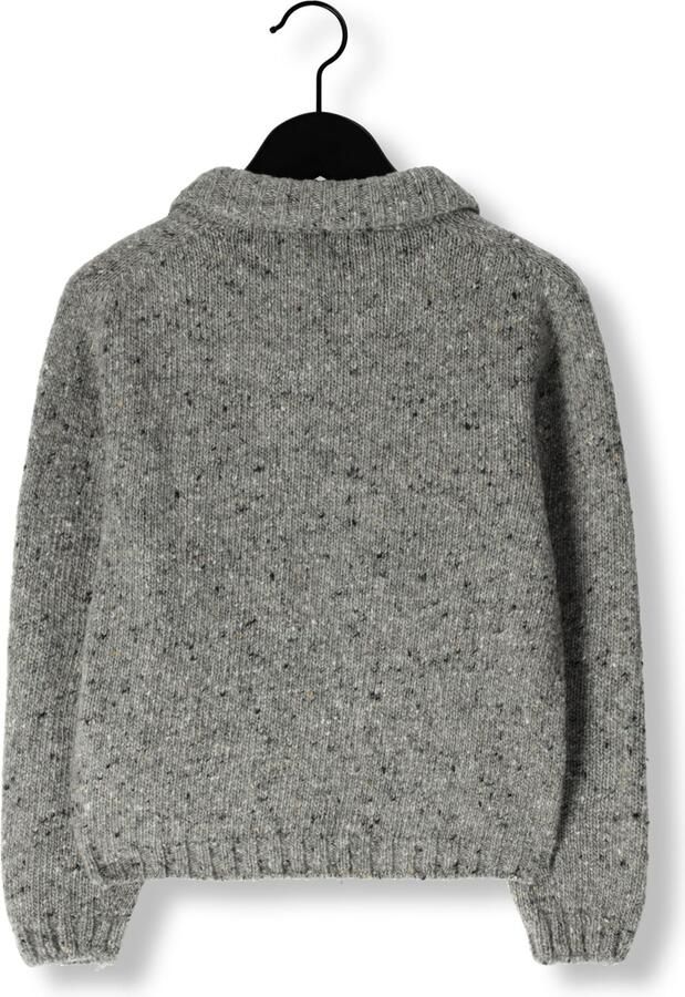 MY LITTLE COZMO Jongens Truien & Vesten Palermok228w5 Grijs