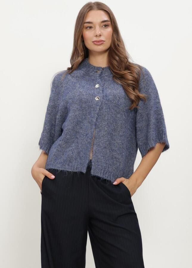 NEO NOIR Dames Truien & Vesten Benuta Fluffy Knit Cardigan Blauw