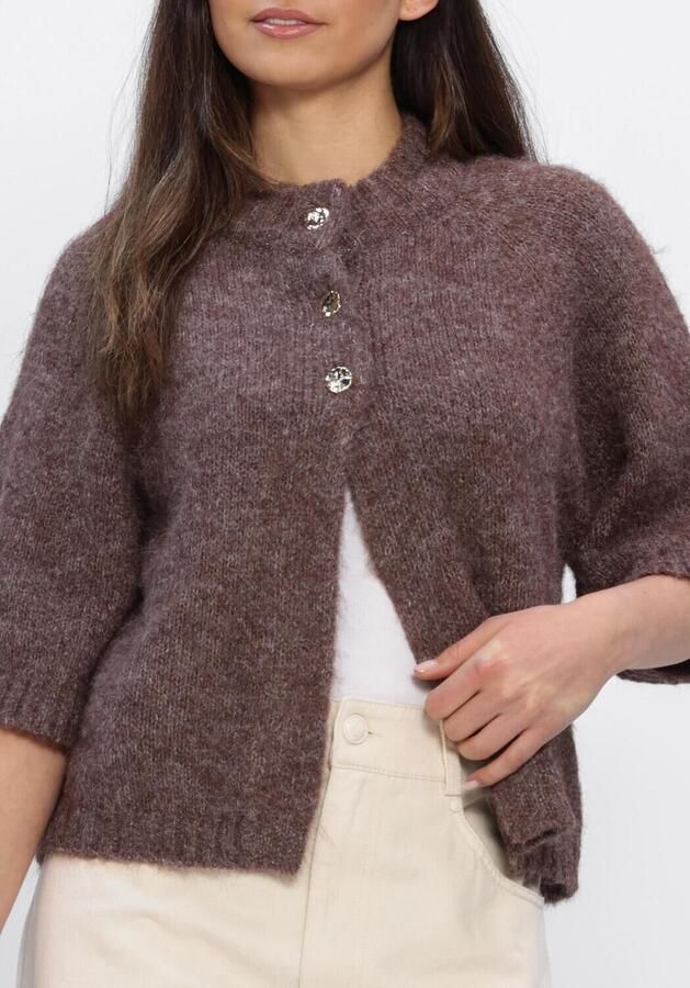NEO NOIR Dames Truien & Vesten Benuta Fluffy Knit Cardigan Bruin - Foto 4