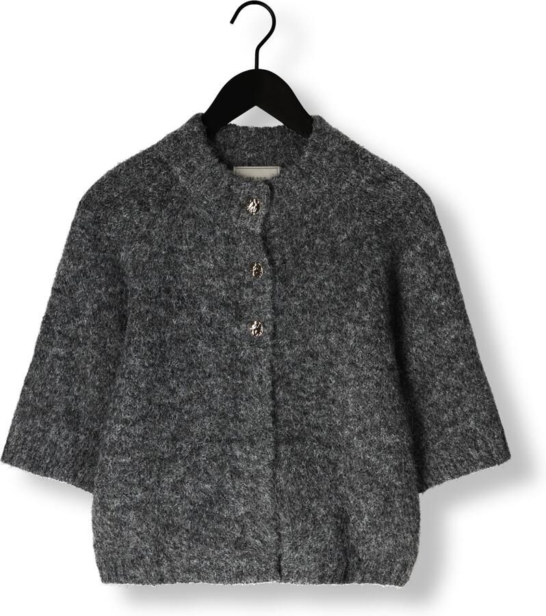 NEO NOIR Dames Truien & Vesten Benuta Fluffy Knit Cardigan Donkergrijs