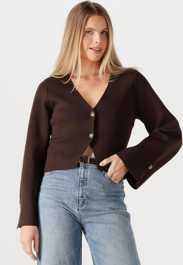 NEO NOIR Dames Truien & Vesten Fulvia Knit Blouse Bruin