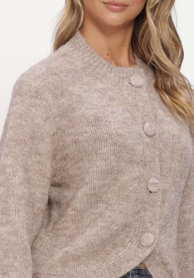 NEO NOIR Dames Truien & Vesten Gio Fluffy Knit Cardigan Beige - Foto 2