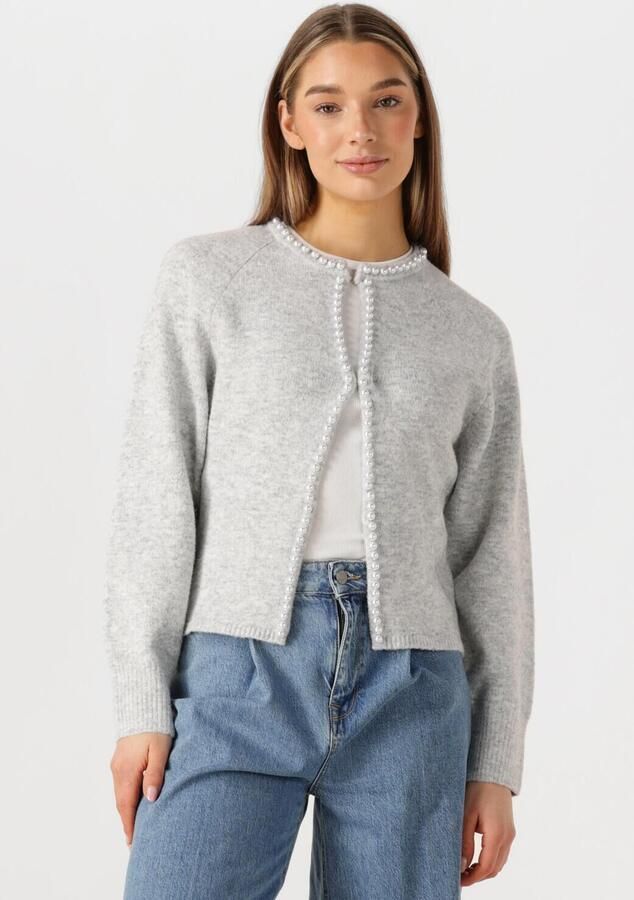 NEO NOIR Dames Truien & Vesten Lily Pearl Knit Cardigan Lichtgrijs - Foto 4