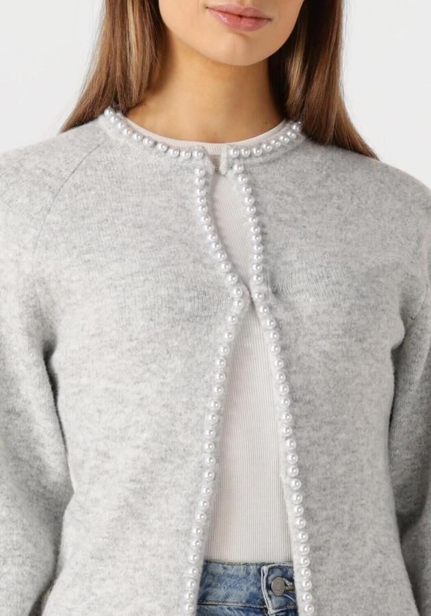 NEO NOIR Dames Truien & Vesten Lily Pearl Knit Cardigan Lichtgrijs - Foto 2