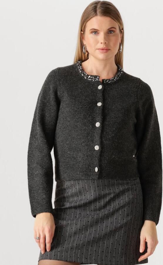 NEO NOIR Dames Truien & Vesten Marie Stone Knit Cardigan Donkergrijs
