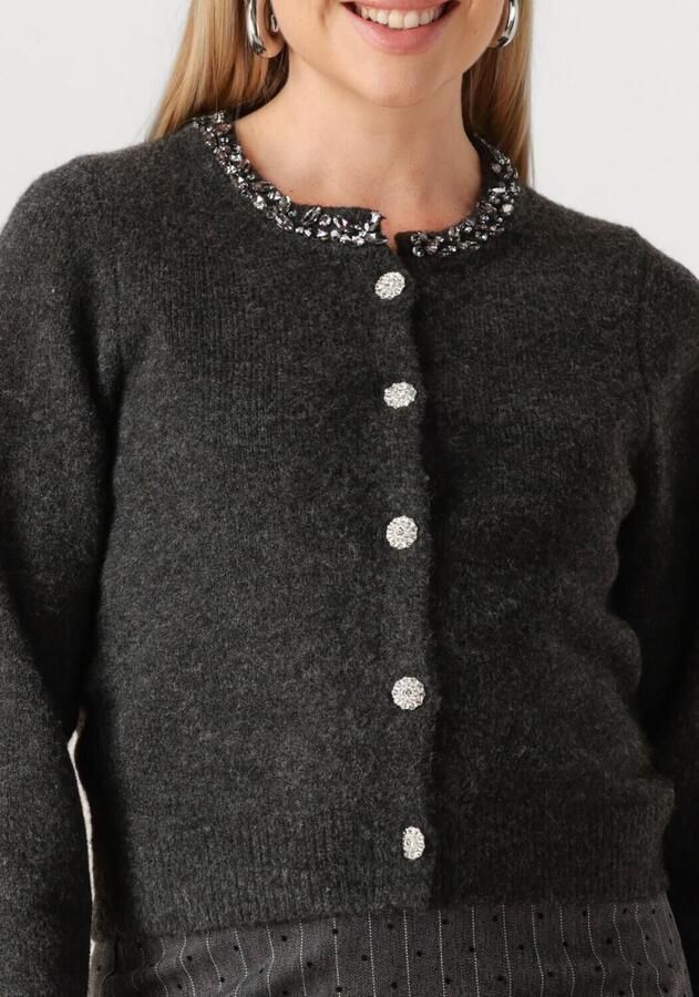 NEO NOIR Dames Truien & Vesten Marie Stone Knit Cardigan Donkergrijs - Foto 3