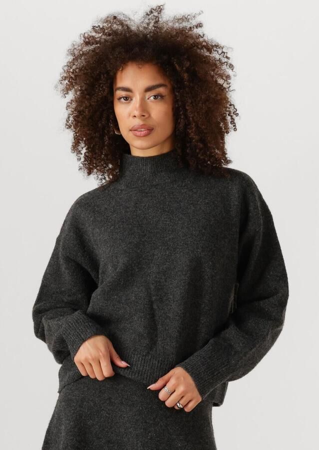 NEO NOIR Dames Truien & Vesten Paulina Knit Blouse Donkergrijs