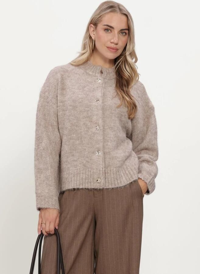 NEO NOIR Dames Truien & Vesten Taura Fluffy Knit Cardigan Beige
