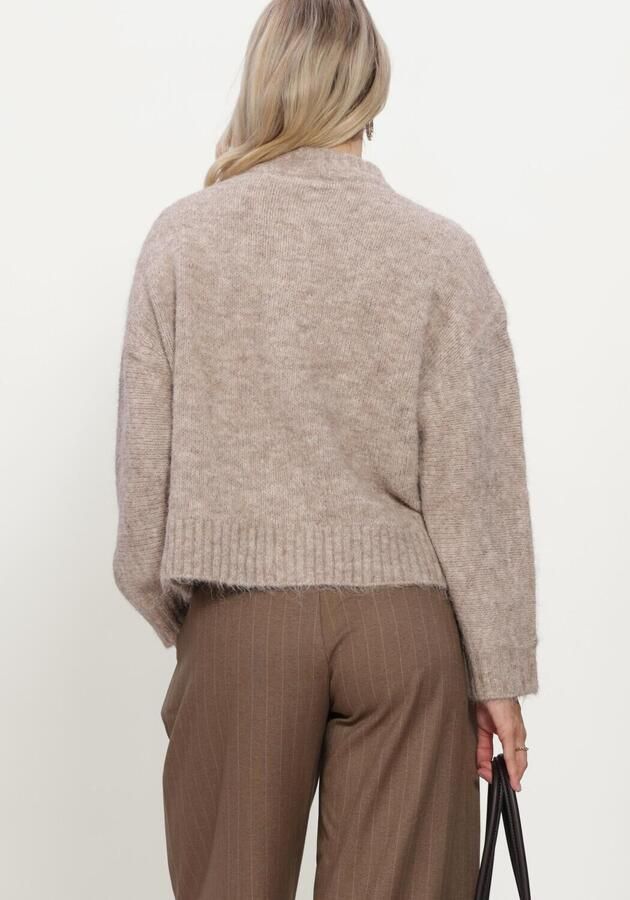 NEO NOIR Dames Truien & Vesten Taura Fluffy Knit Cardigan Beige - Foto 3