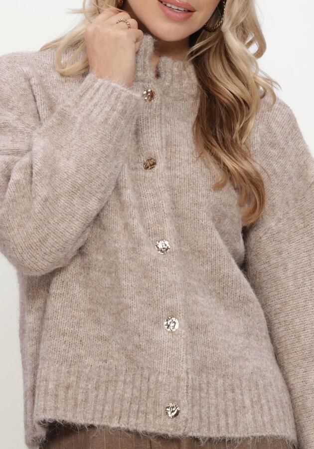 NEO NOIR Dames Truien & Vesten Taura Fluffy Knit Cardigan Beige - Foto 4