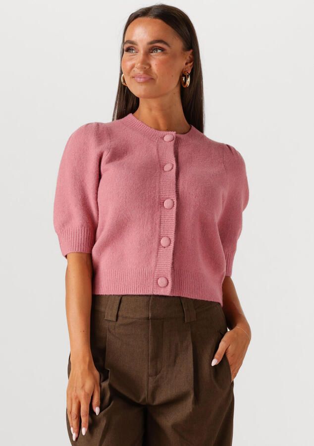 NEO NOIR Dames Truien & Vesten Trudy Knit Cardigan Roze - Foto 4