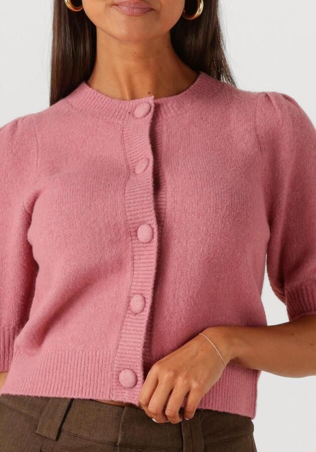 NEO NOIR Dames Truien & Vesten Trudy Knit Cardigan Roze - Foto 2