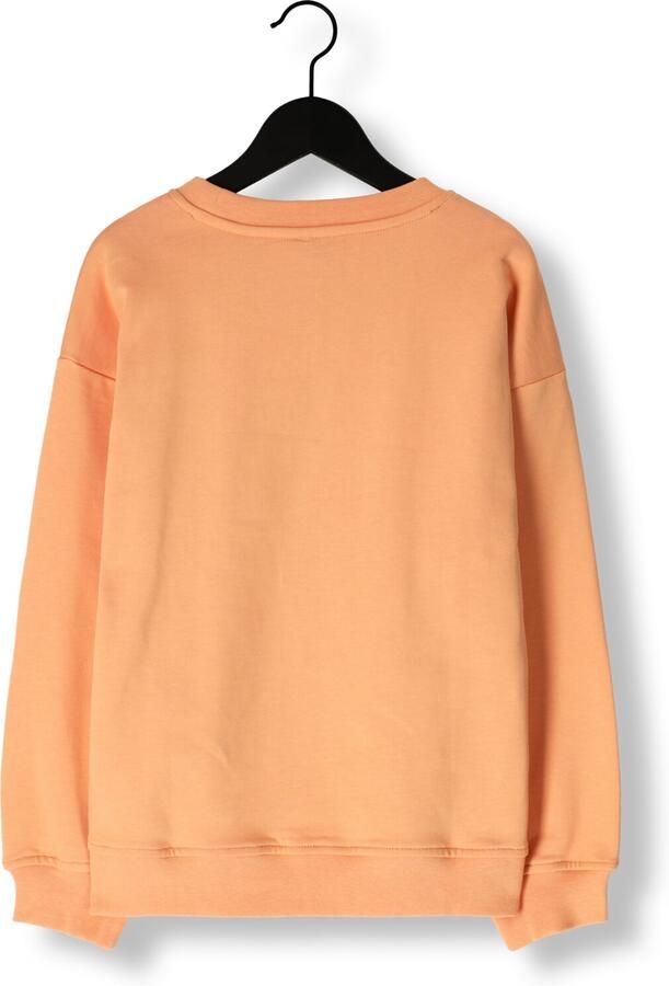 NIK & NIK Jongens Truien & Vesten Icon Sweatshirt Oranje - Foto 2