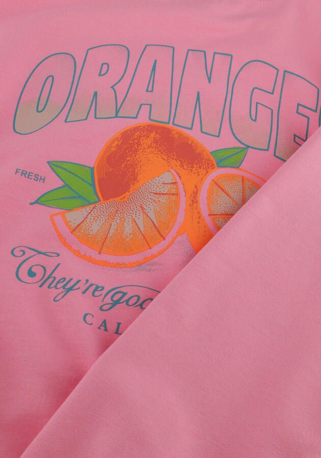 NONO Meisjes Truien & Vesten Ko Sweater With Oranged Print At Back Roze