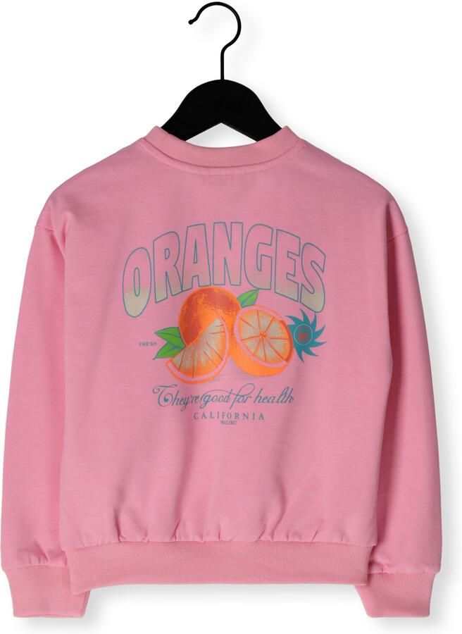 NONO Meisjes Truien & Vesten Ko Sweater With Oranged Print At Back Roze - Foto 2