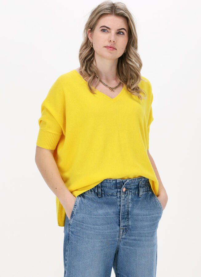 NOT SHY Dames Truien & Vesten Aimee Geel - Foto 4