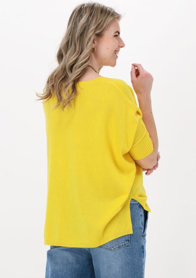 NOT SHY Dames Truien & Vesten Aimee Geel - Foto 2