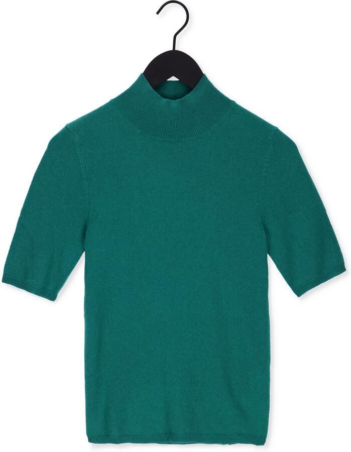 NOT SHY Dames Truien & Vesten Madeleine Groen