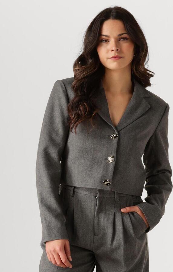 NOTRE-V Dames Blazers Na-elai Grijs - Foto 4