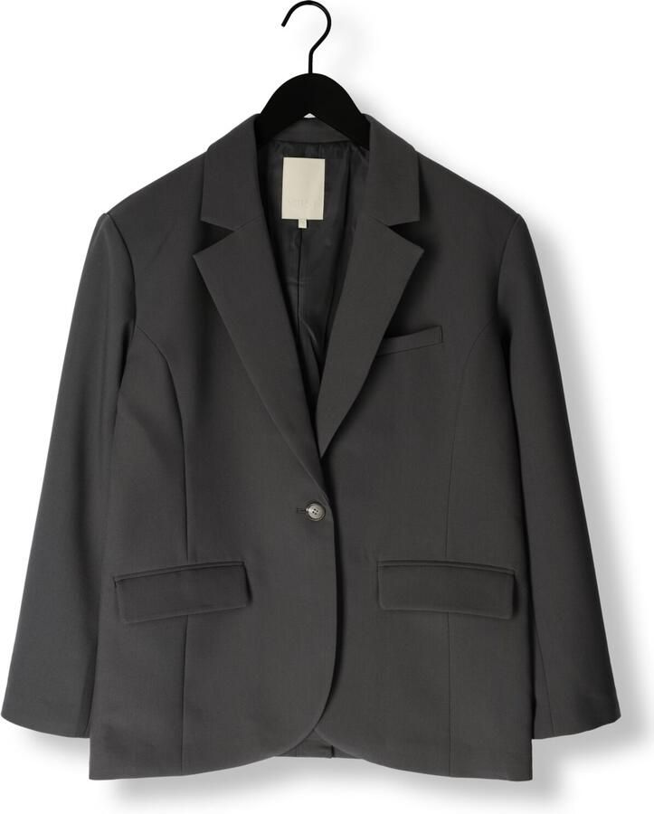 Notre-v Grijze Blazer voor Vrouwen Gray Dames